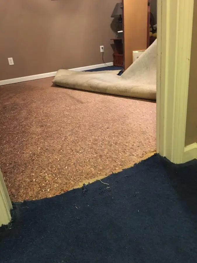 Carpet pad removal revealing water damage during Water Mitigation Services in Homer