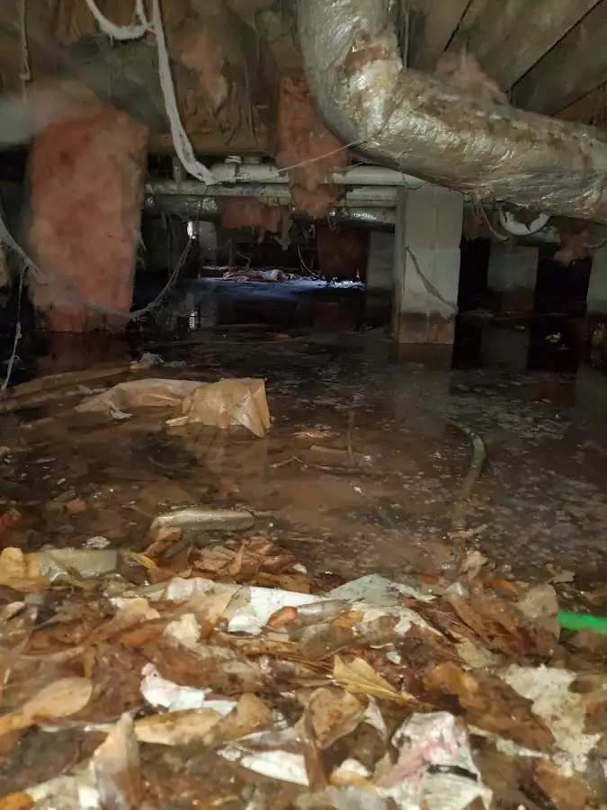 Crawl space flood assessment for Commercial Water Damage Restoration in Homer