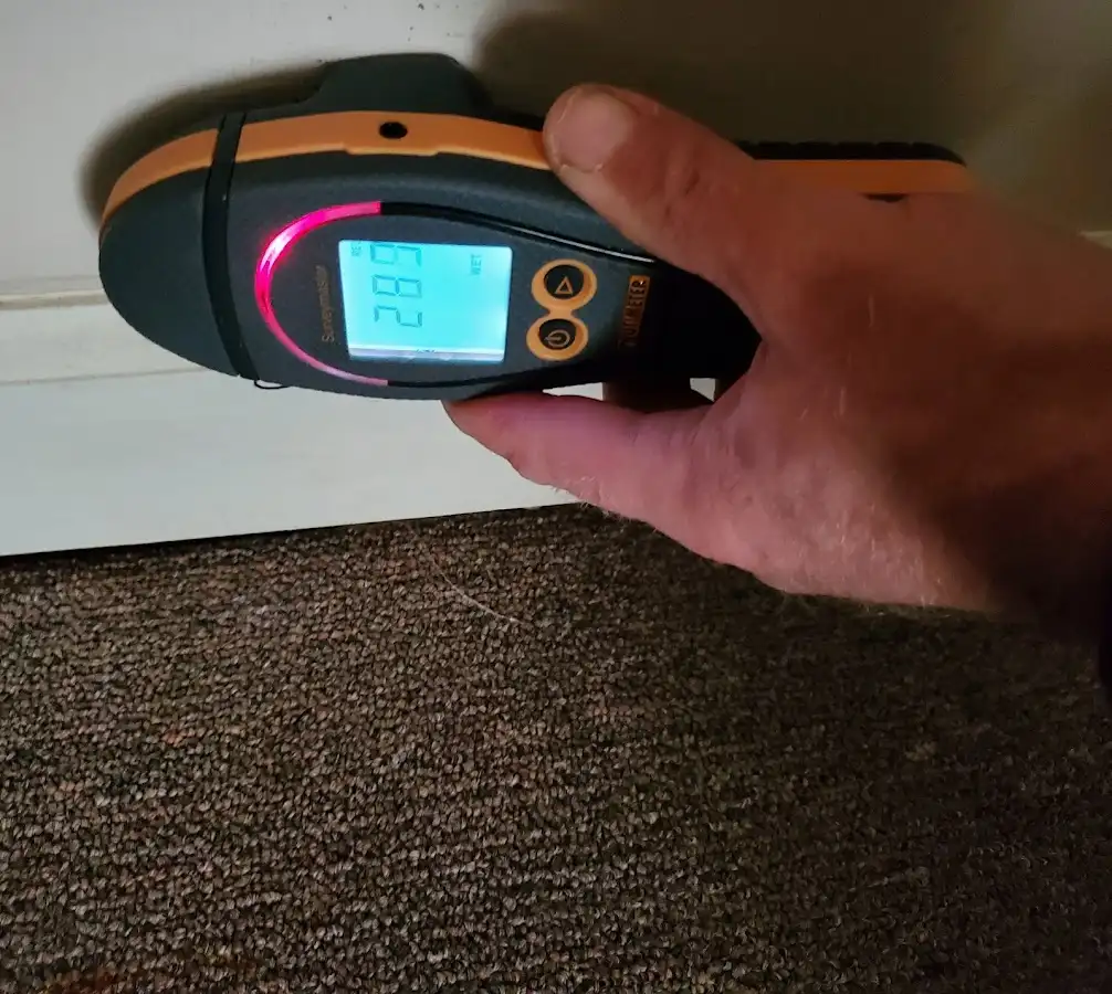 Moisture detection at baseboard during Storm Damage Restoration in Homer